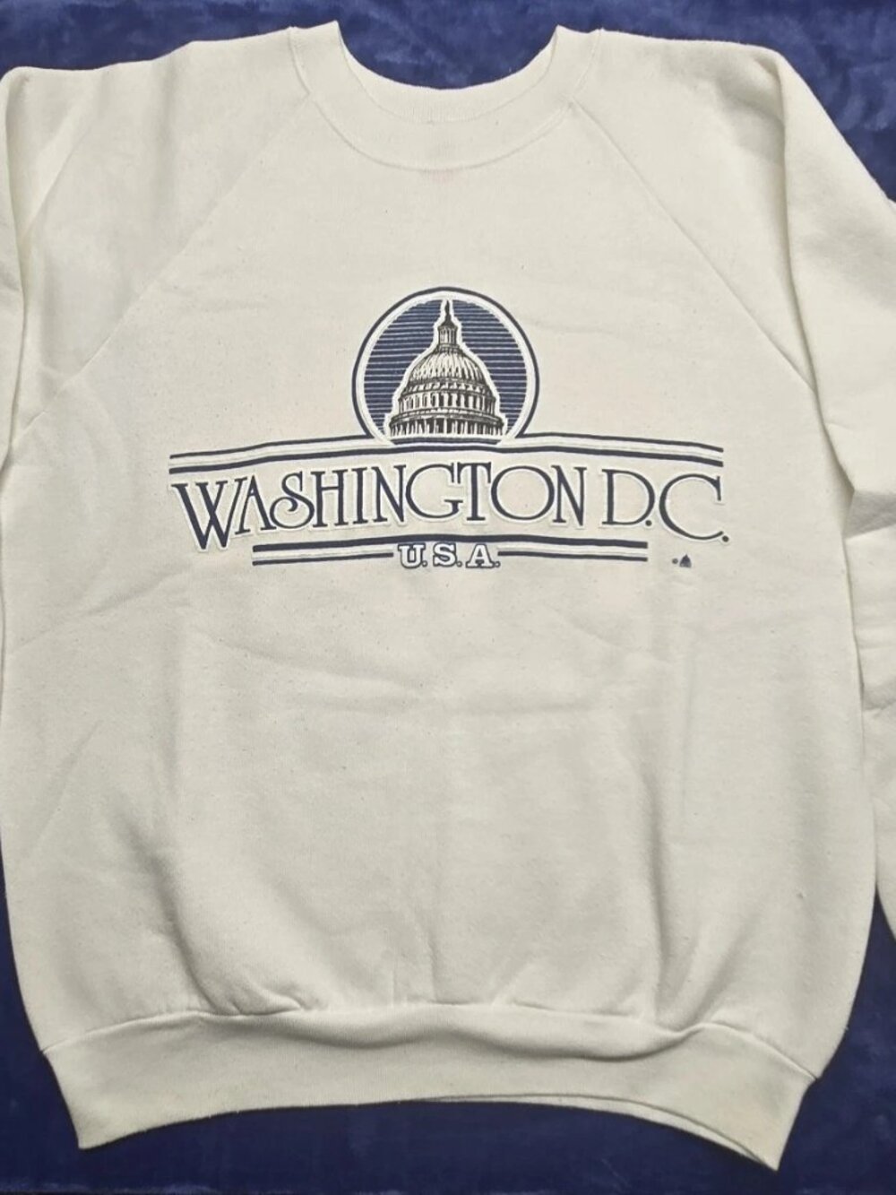 VTG Fruit of the Loom Washington D.C. U.S.A. Graphic Sweatshirt Size L